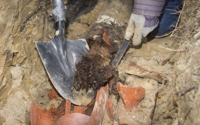 Signs You Need Sewer Line Repair in Your and How to Address Them