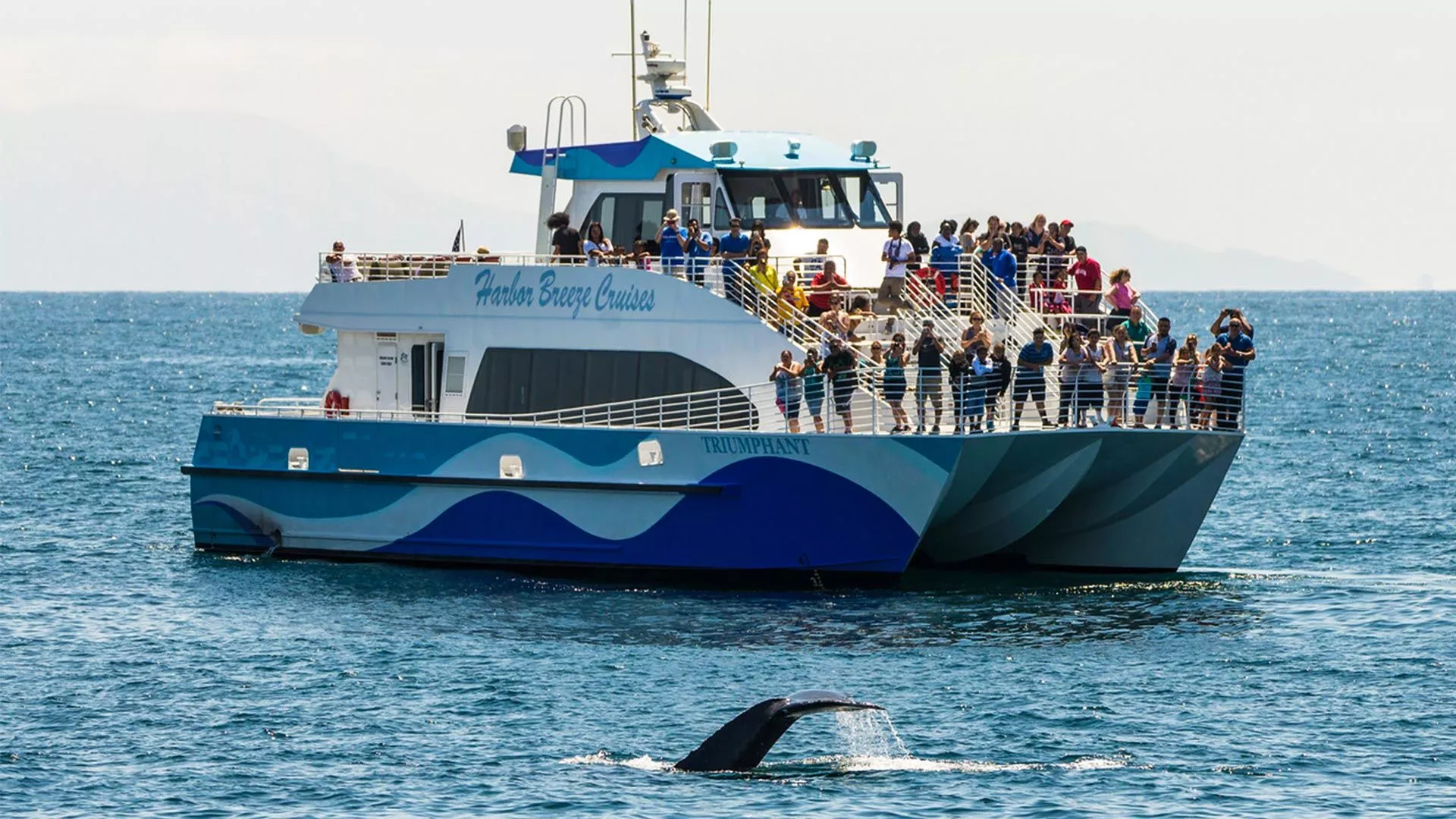 Harbor Breeze meeting